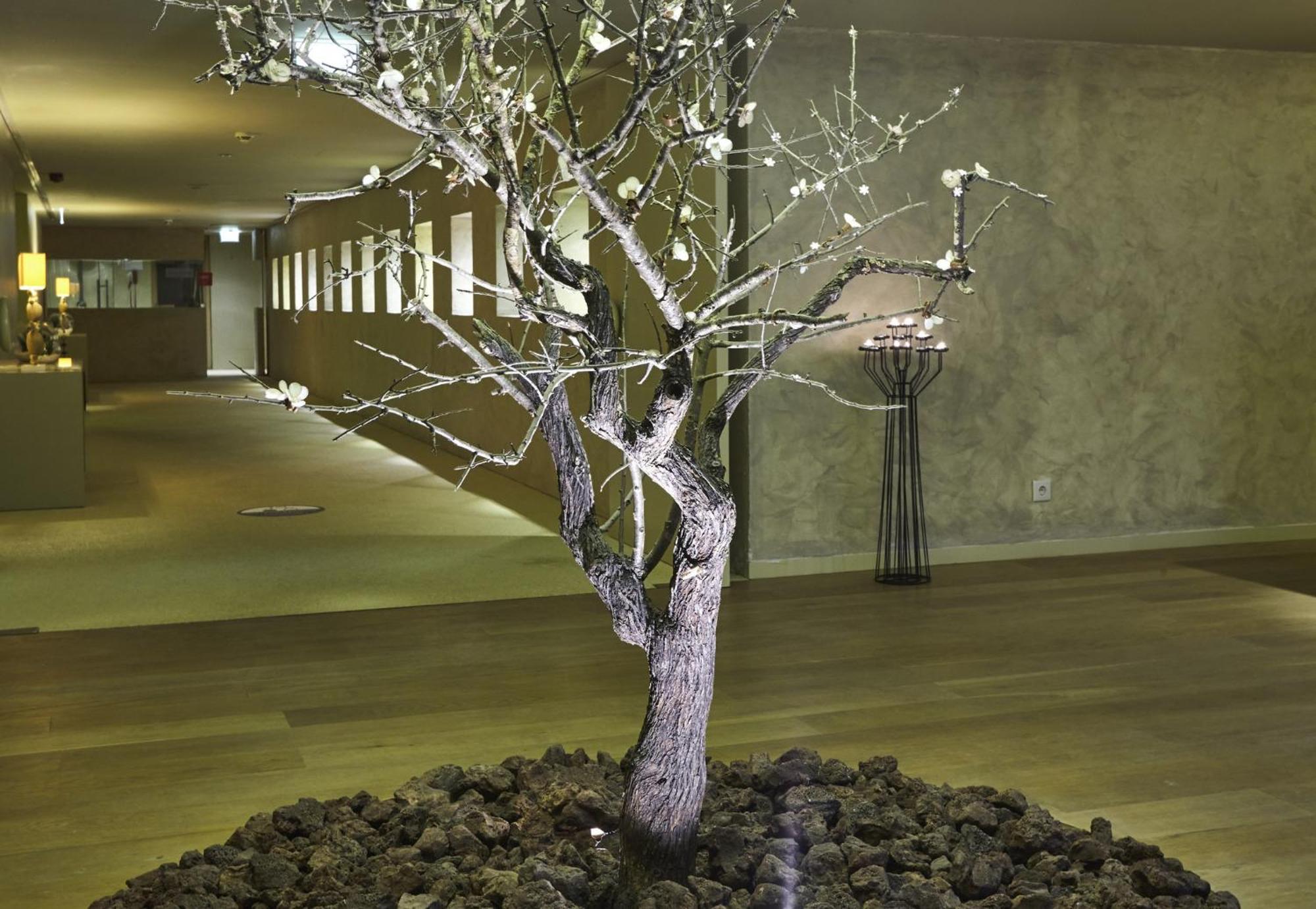 维拉摩拉皇冠假日酒店 外观 照片 The Tree of Light
